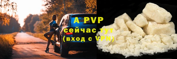 дмт Богданович