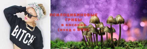 круглые Богородицк