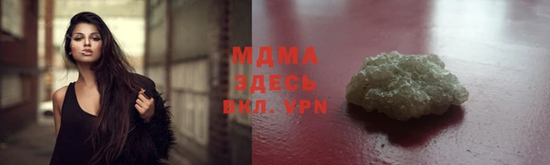 дмт Богданович
