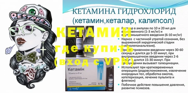 дмт Богданович