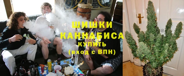 экстази Богородск