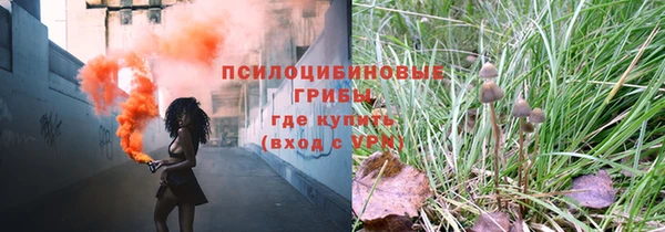экстази Богородск