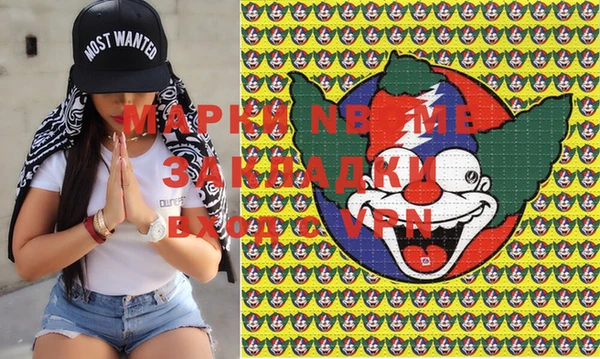дмт Богданович