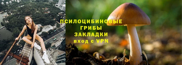 круглые Богородицк