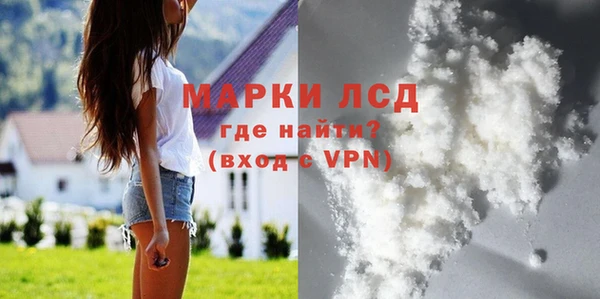 дмт Богданович