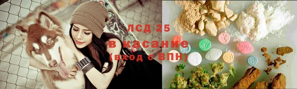 дмт Богданович